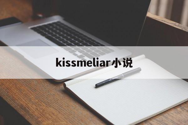 kissmeliar小说(kiss me liar有小说吗)